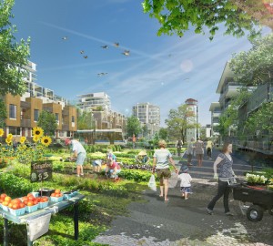 Community Garden Rendering