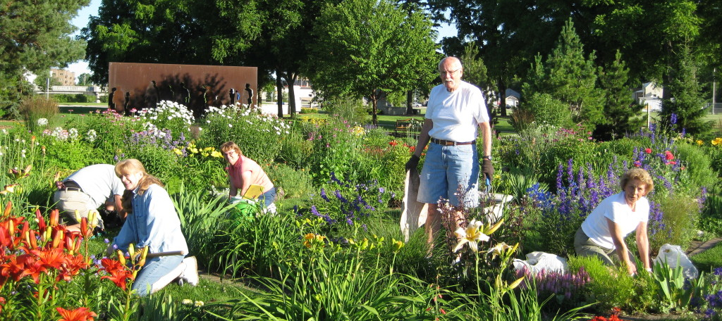Peninsula Health Care District Community Garden Rendering